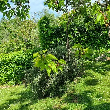 Dimora Nel Chianti San Sano