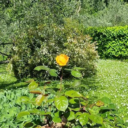 Dimora Nel Chianti