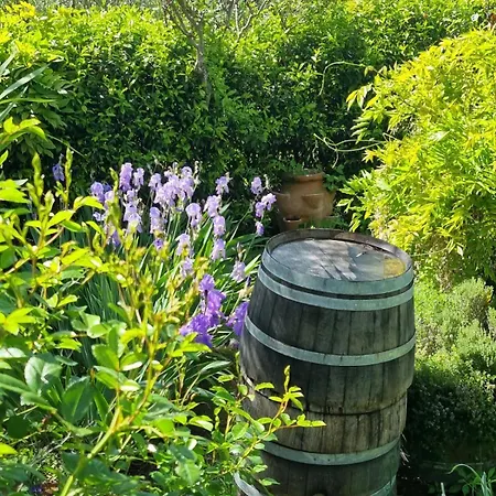 Dimora Nel Chianti Lantställe