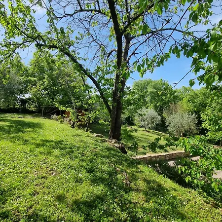 カントリーハウス Dimora Nel Chianti