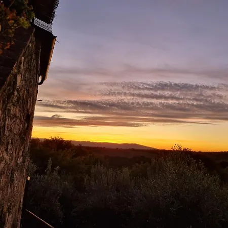 Dimora Nel Chianti